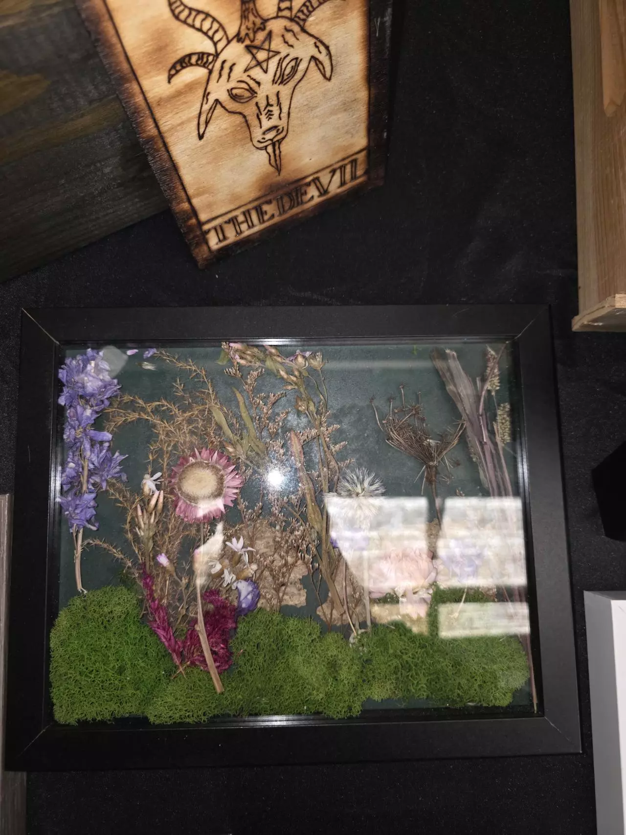 plant/#44 8x10 Flower-0