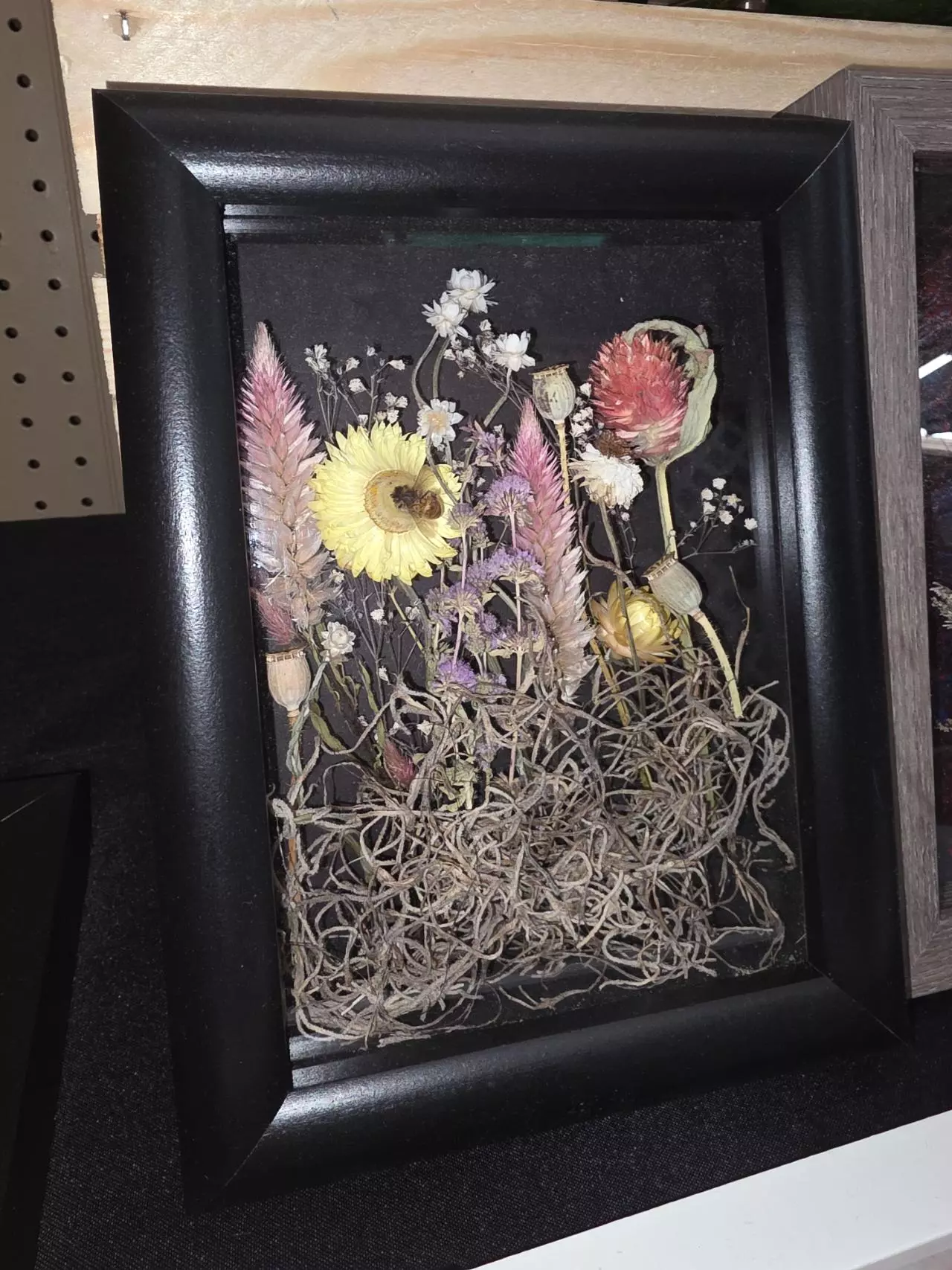 plant/#42 5x7 Honeybee-0