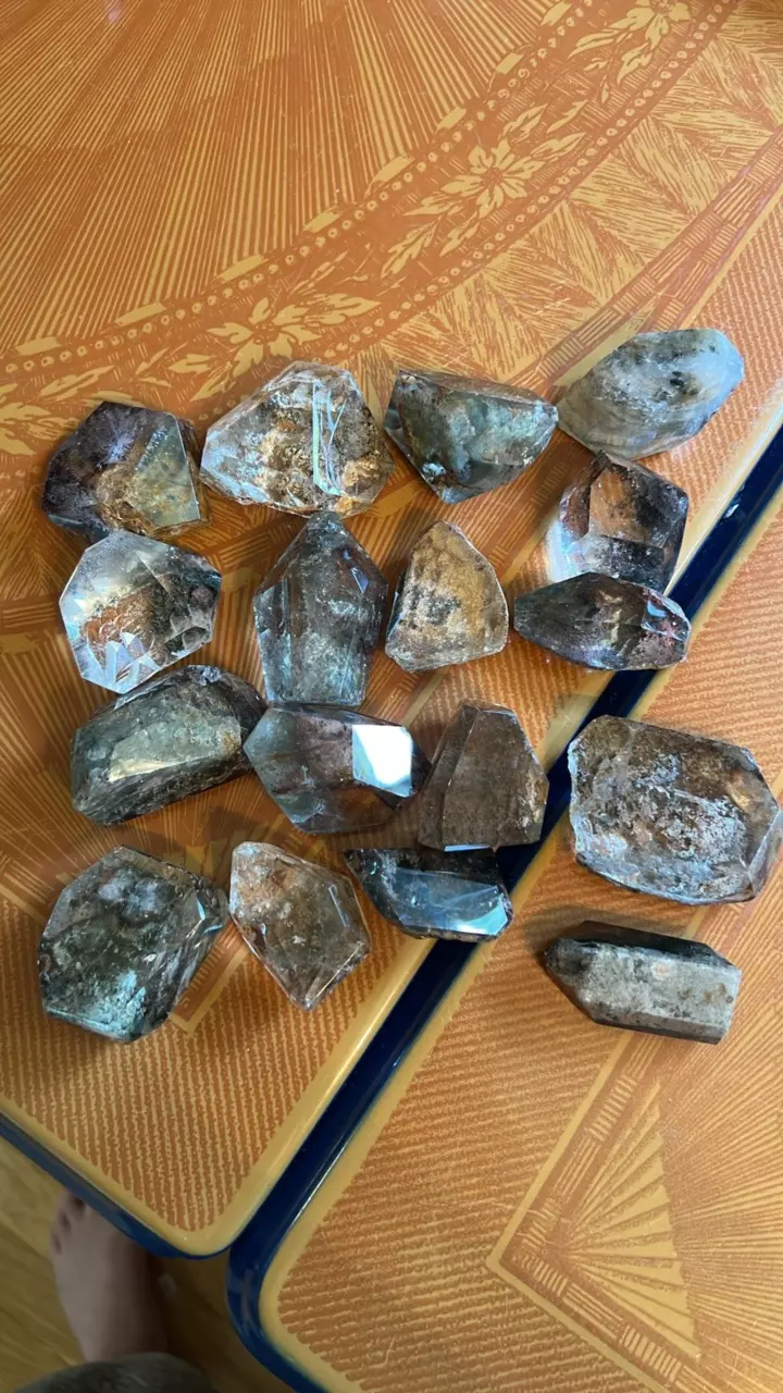 plant/Assorted garden quart freeform-0