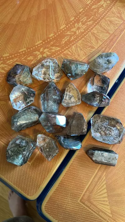 plant/Assorted garden quart freeform-0-thumbnail