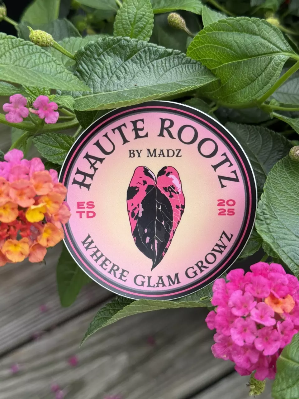 plant/Hold 6/30-0