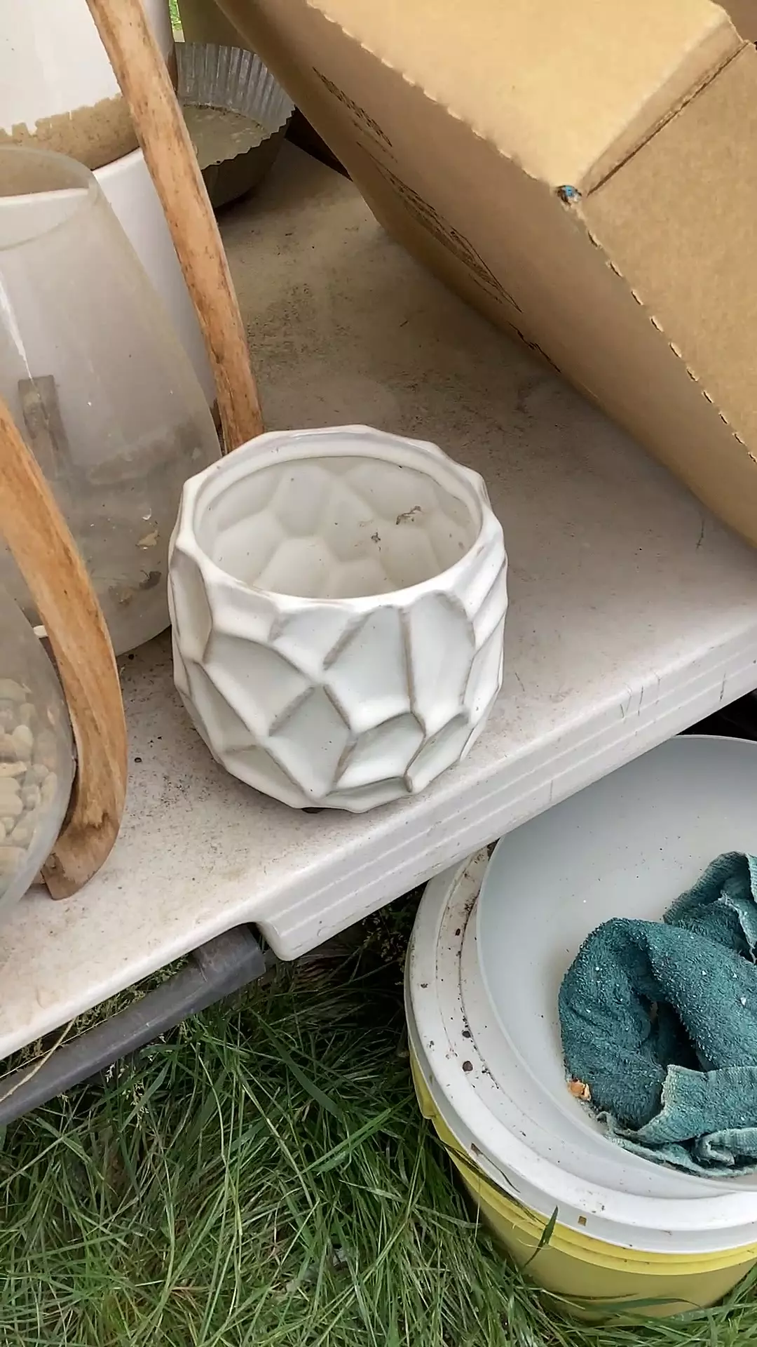 plant/Pot-0