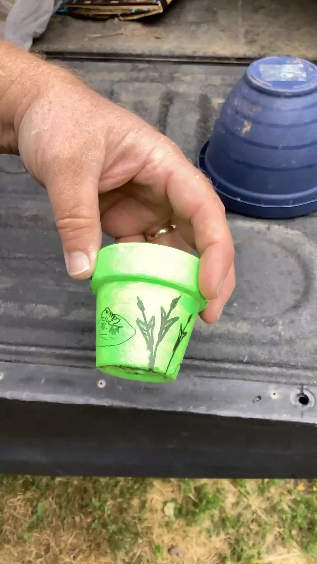 plant/Frogger-0