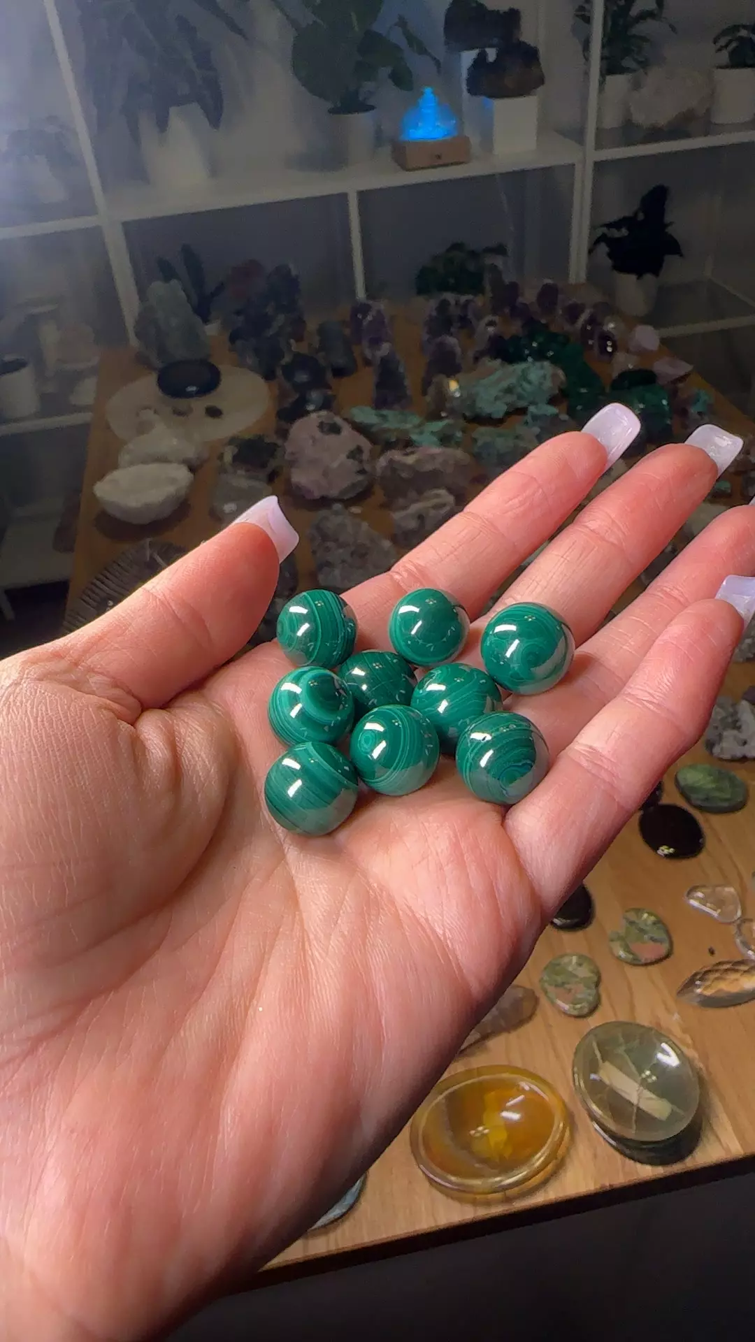 plant/Malachite sphere $8 normality special-0