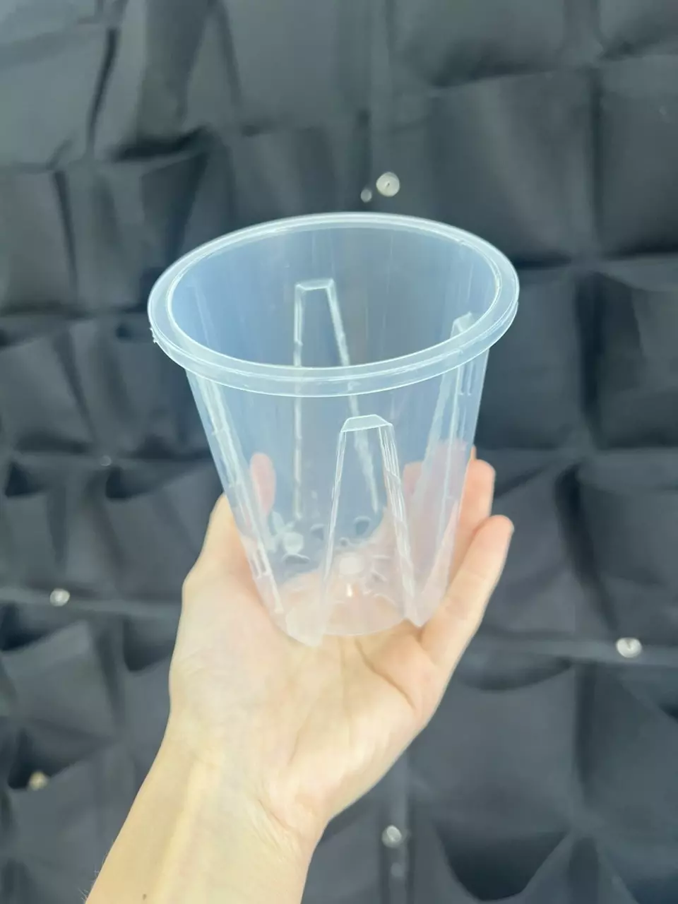 plant/1x 4 inch nursery pot-0