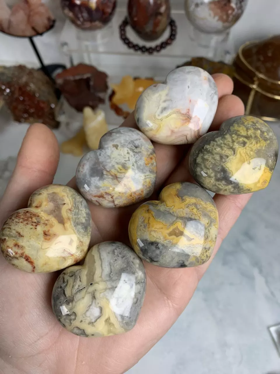 plant/*ONE* Crazy Lace Agate Heart-0