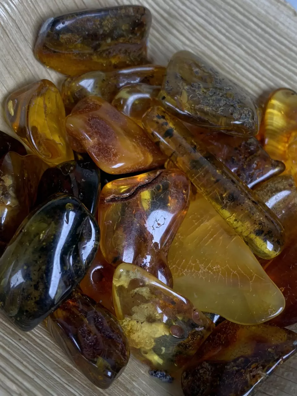 plant/*ONE* Amber Tumble - Lithuania-0