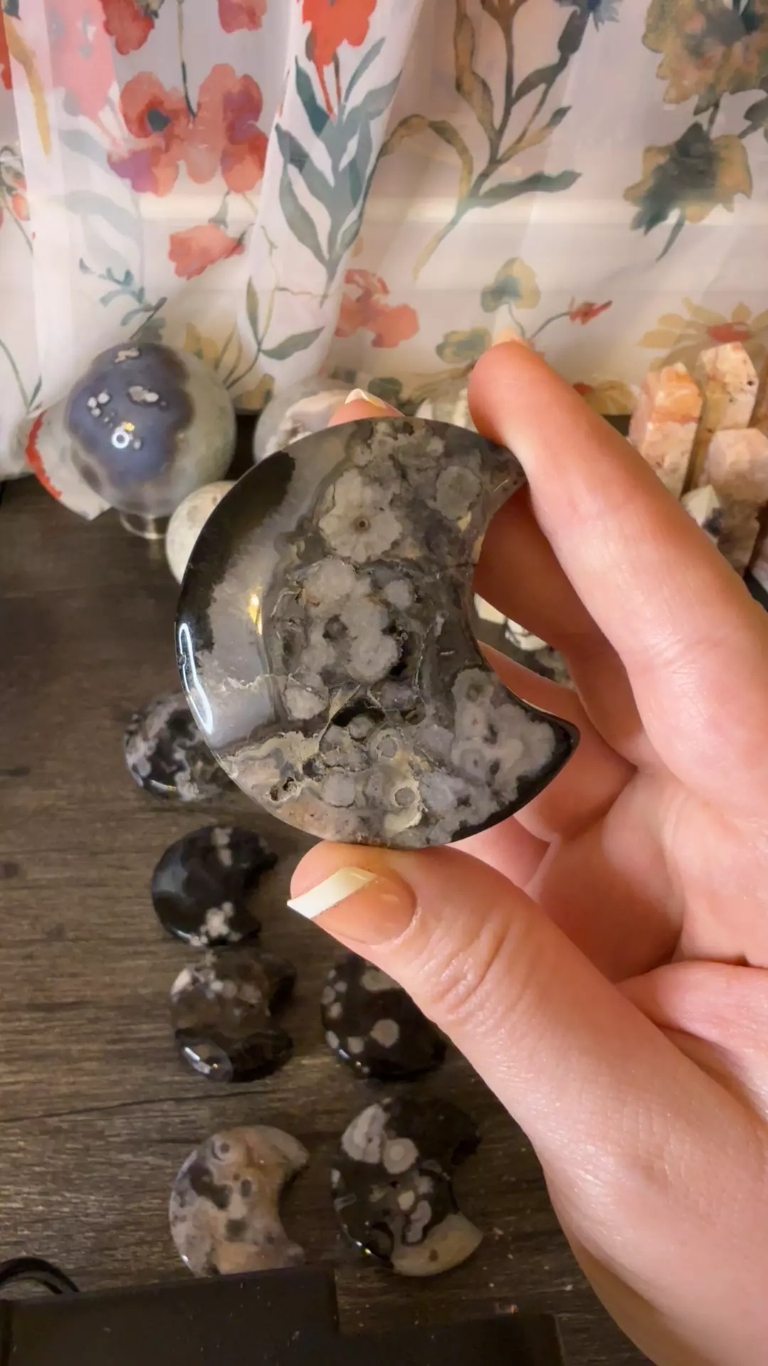 plant/$14 | Black FA Moon 14C-0