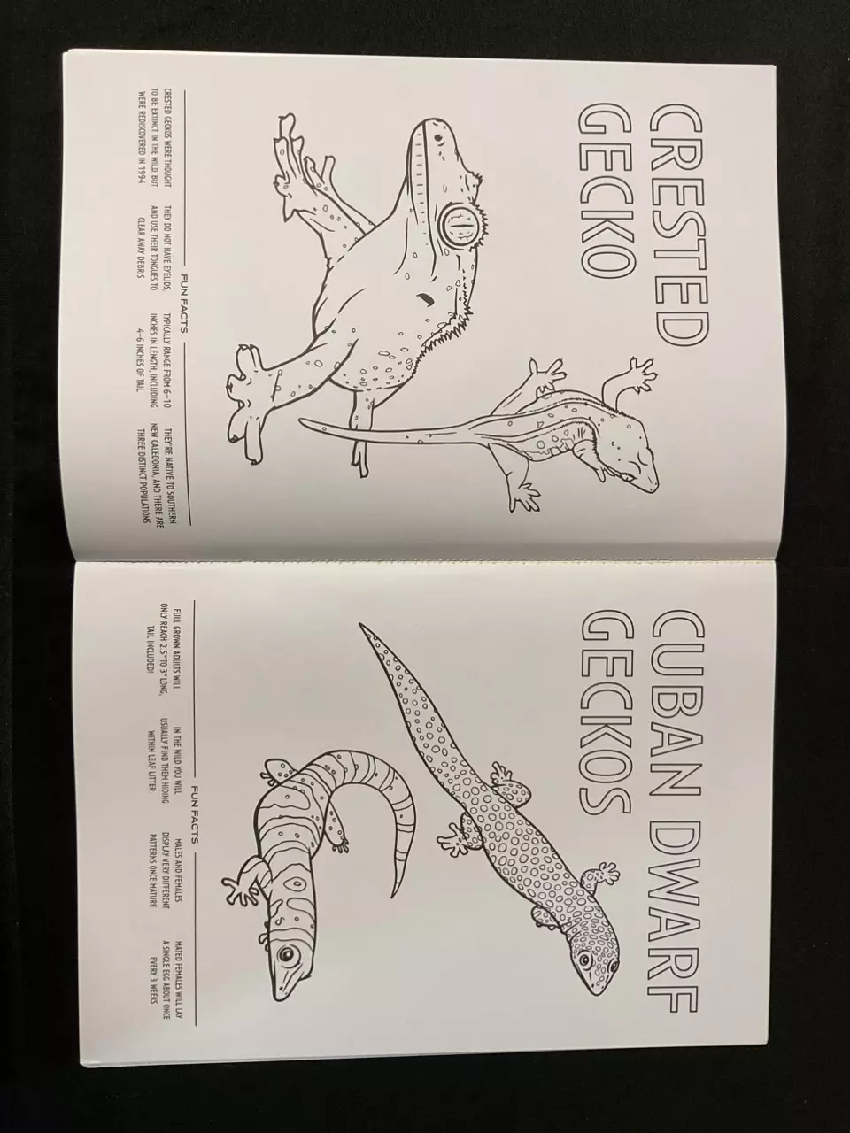 plant/GJ coloring book-1