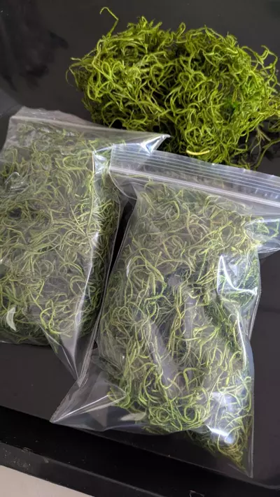 plant/Preserved Dry Spanish Moss 4"x6" Bag-0-thumbnail