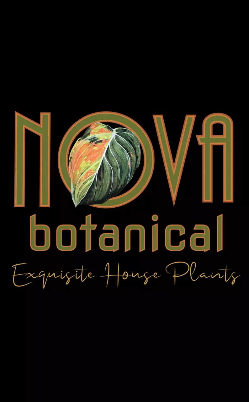 plant/Next Day Shipping Quote-0