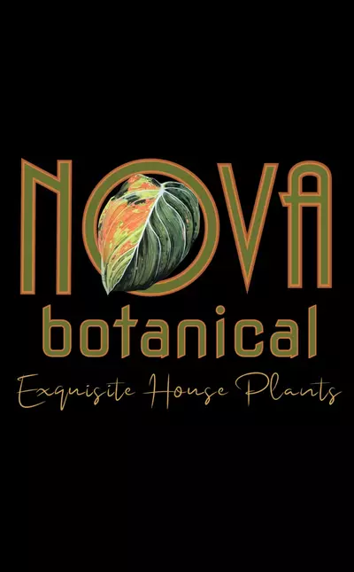 plant/Next Day Shipping Quote-0-thumbnail