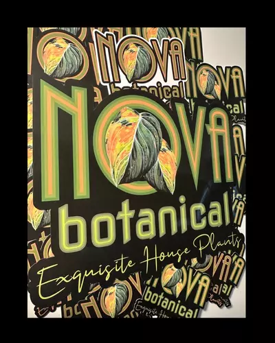 plant/3pc Sticker Pack-0-thumbnail