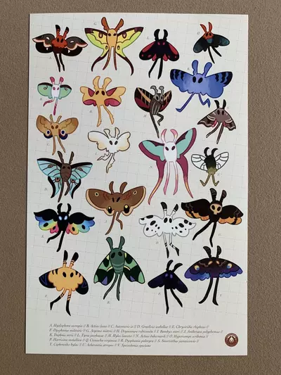 plant/Mothman Species Poster-0-thumbnail