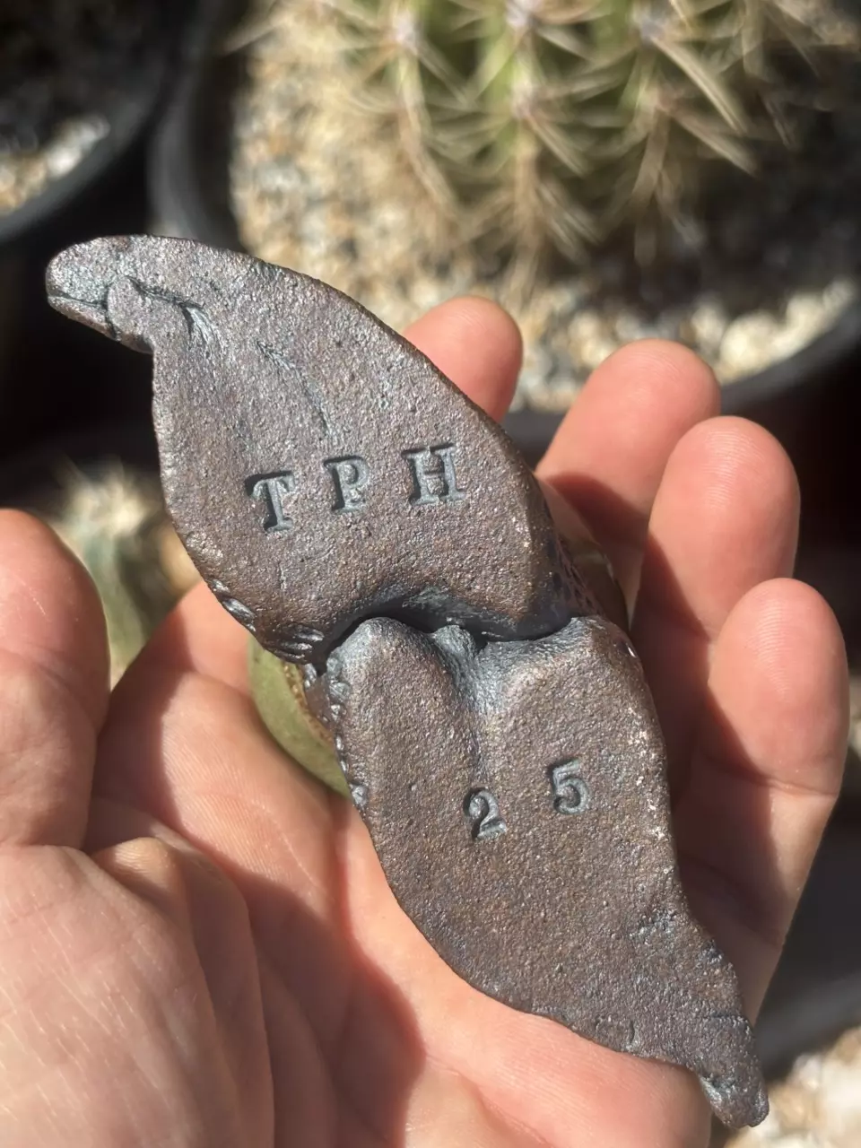 plant/Peyote Incense Burner-1