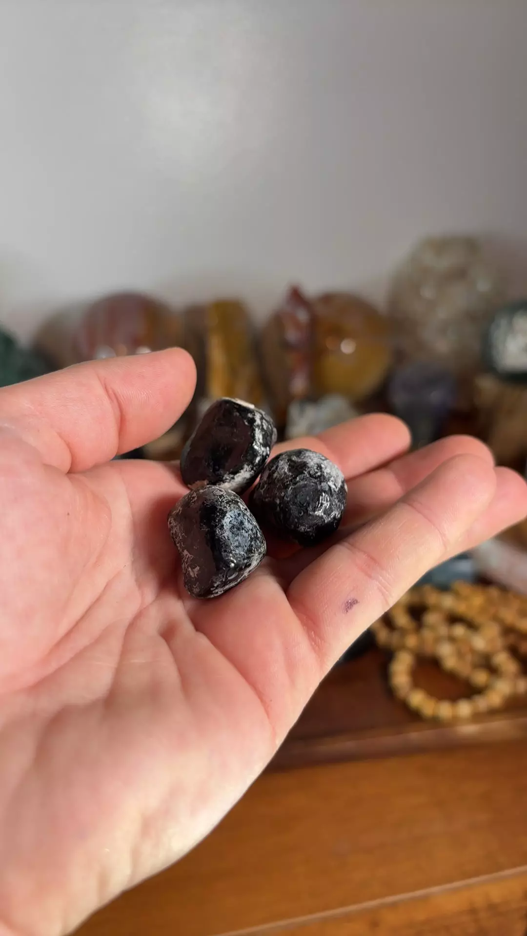 plant/Apache Tears - 3 pieces-0