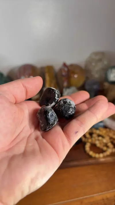 plant/Apache Tears - 3 pieces-0-thumbnail