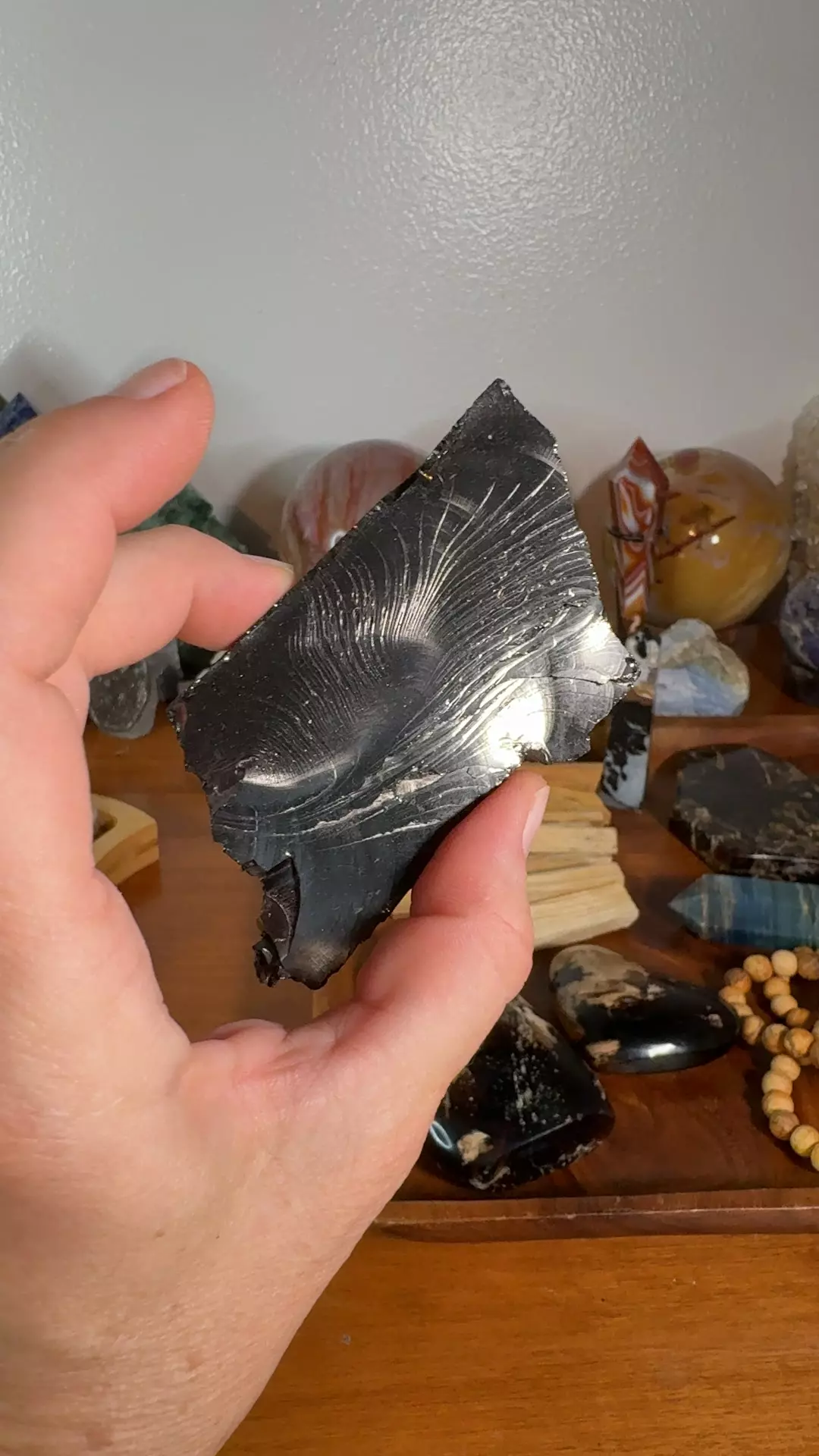 plant/Elite  Shungite-0
