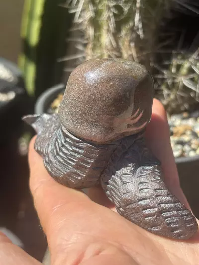 plant/Peyote Incense Burner-0-thumbnail