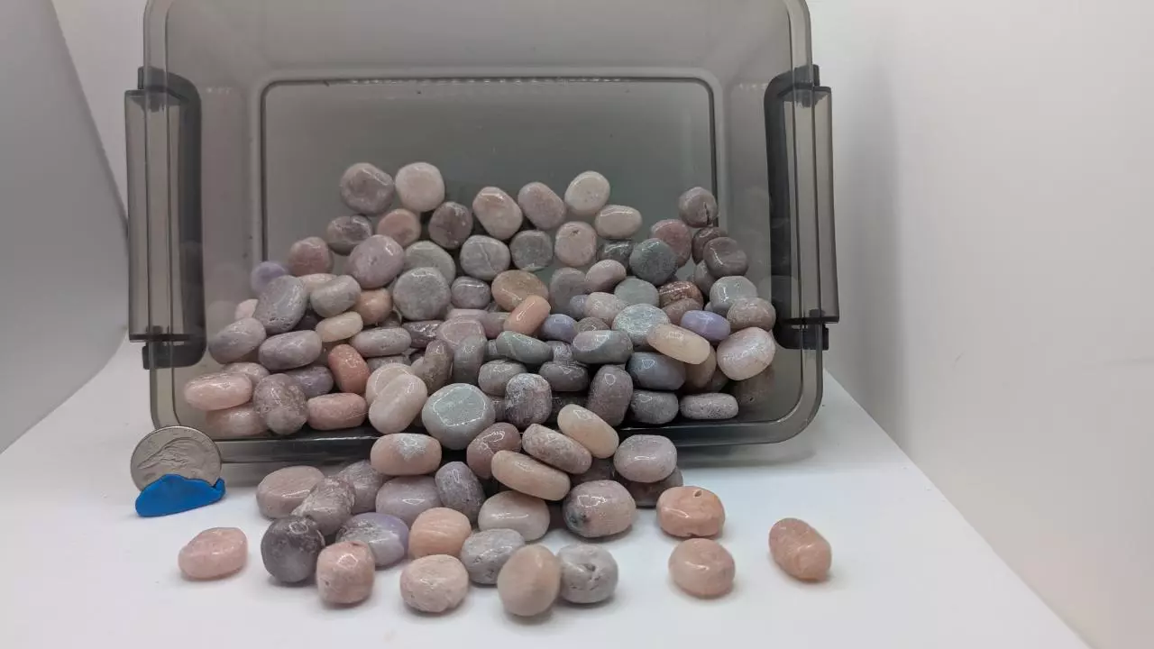 plant/*One* Pink Amethyst Tumbles-0