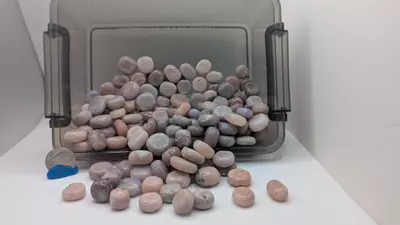 plant/*One* Pink Amethyst Tumbles-0-thumbnail