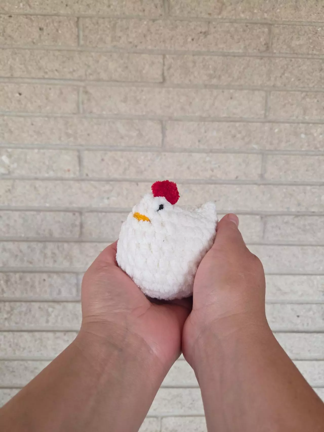 plant/Made to Order - Little White Chicken-3