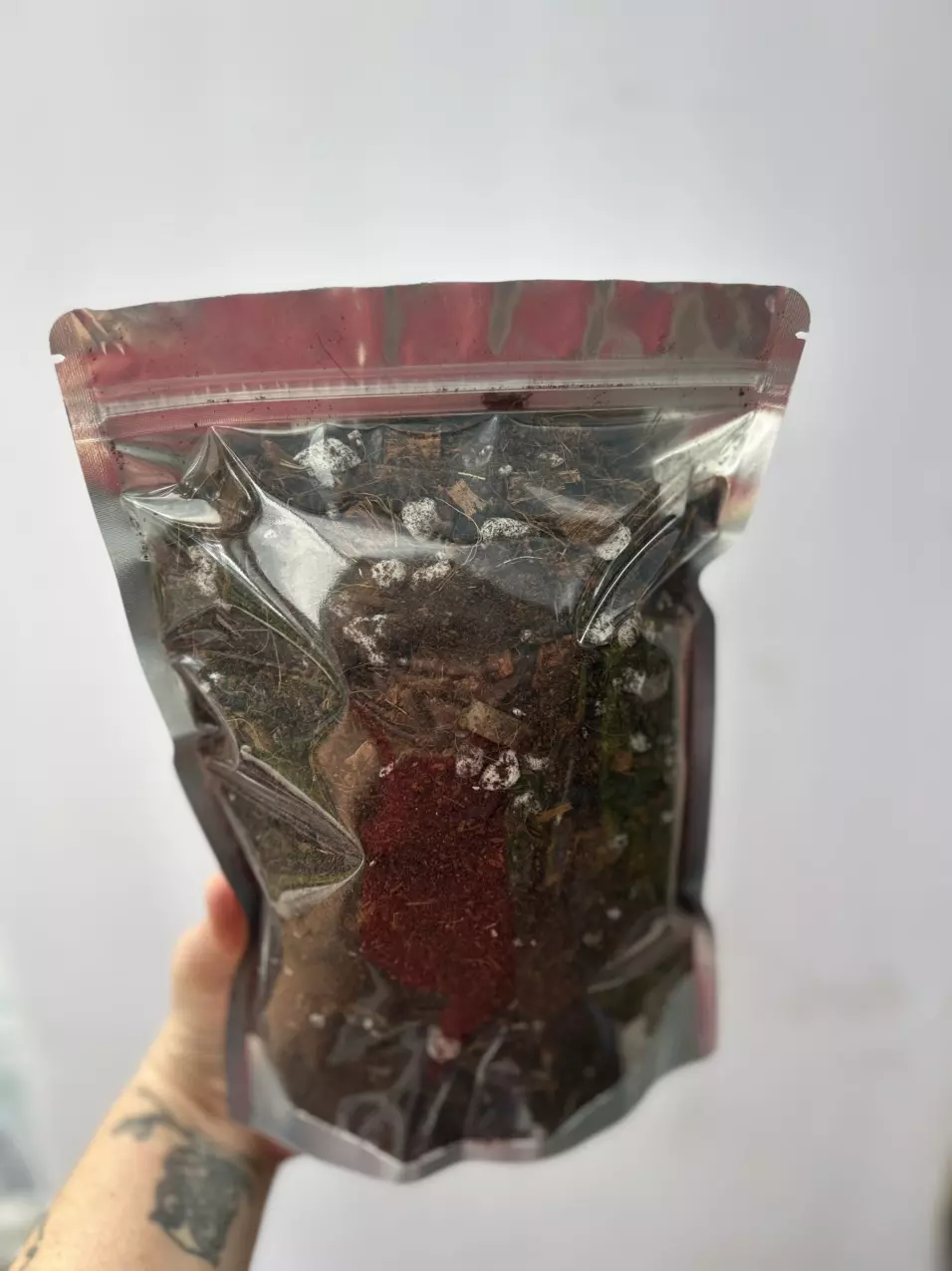 plant/ONE POUND-Custom Aroid Mix-0