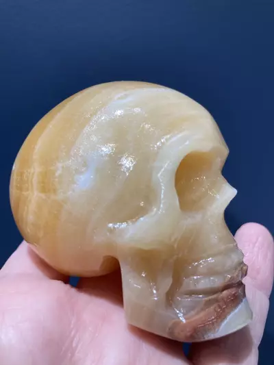 plant/Cream and Orange Onyx skulls-1-thumbnail