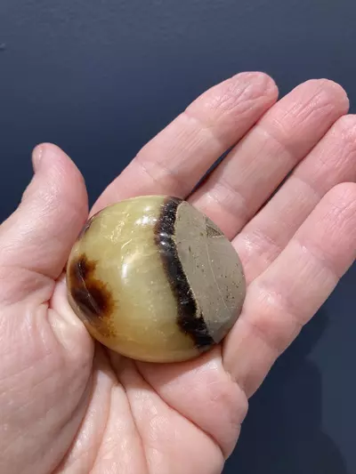 plant/Septarian Palm stone - Intuitively Chosen-0-thumbnail