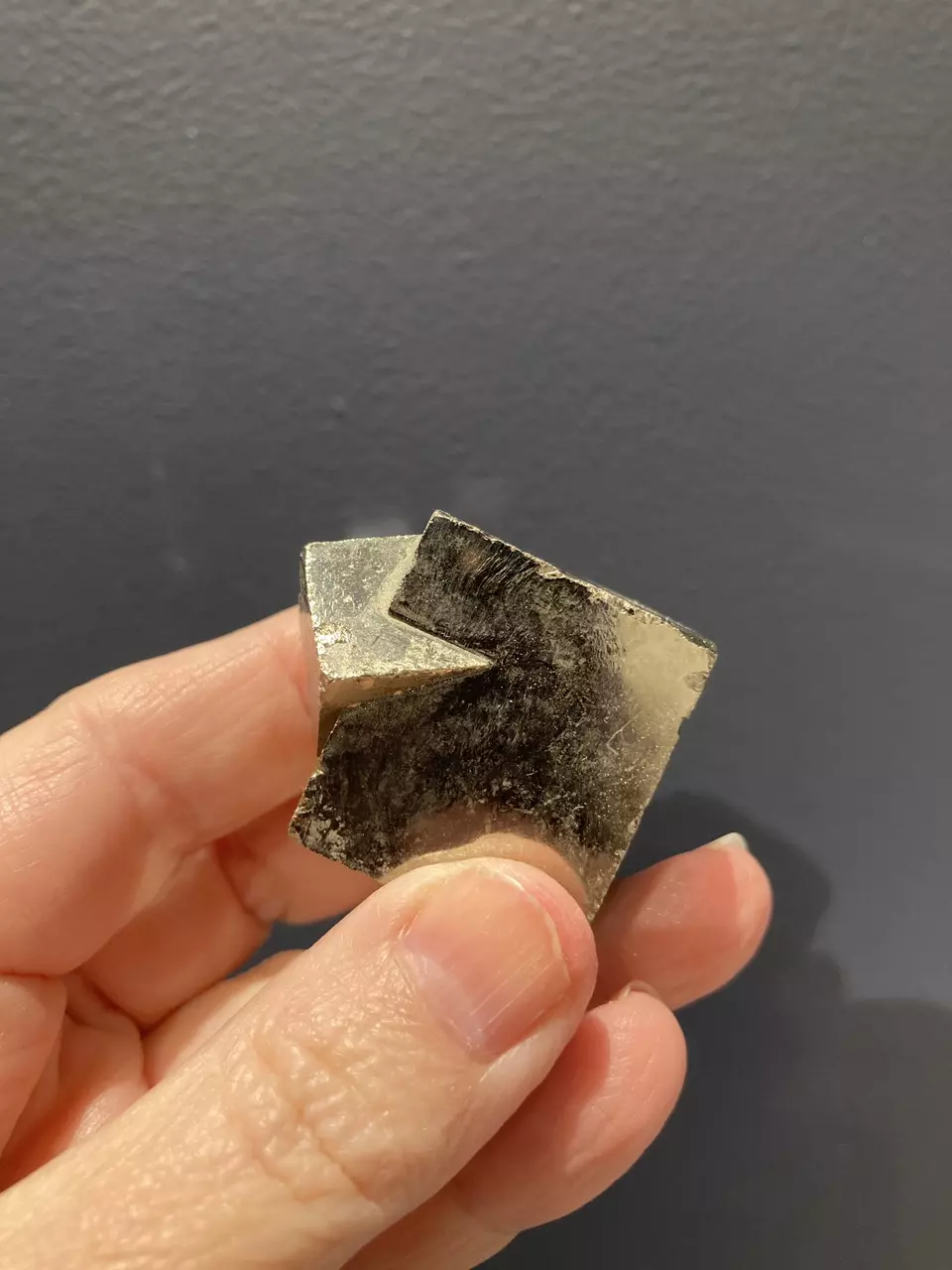 plant/Pyrite chunk - Intuitively Chosen-1