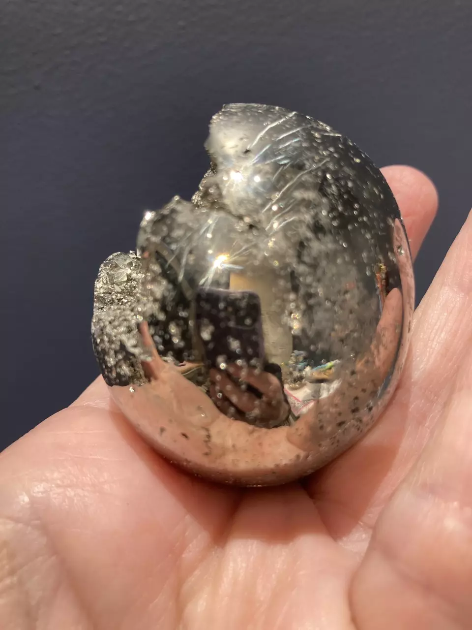 plant/Pyrite egg-1