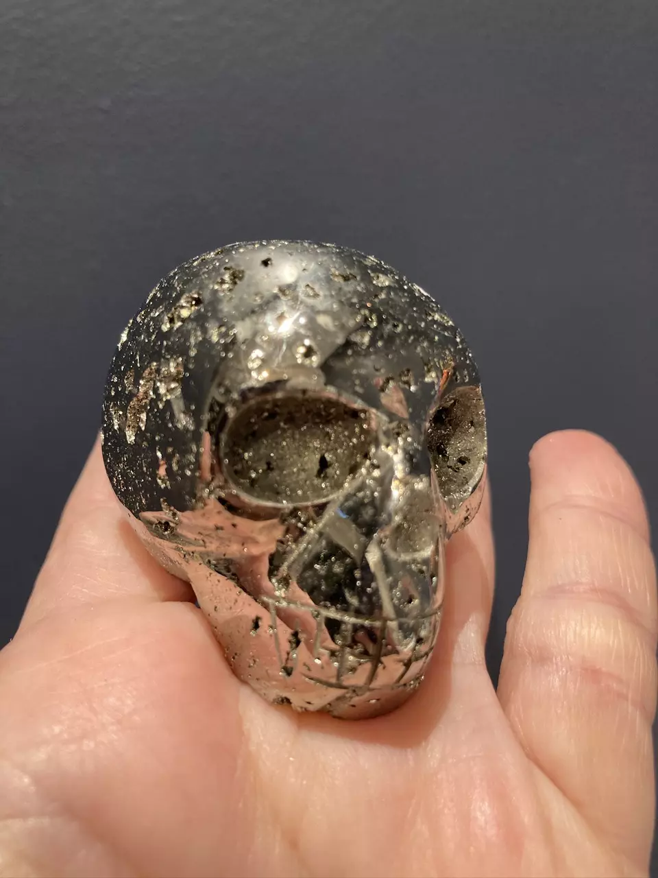 plant/Pyrite skull - Intuitively Chosen-0