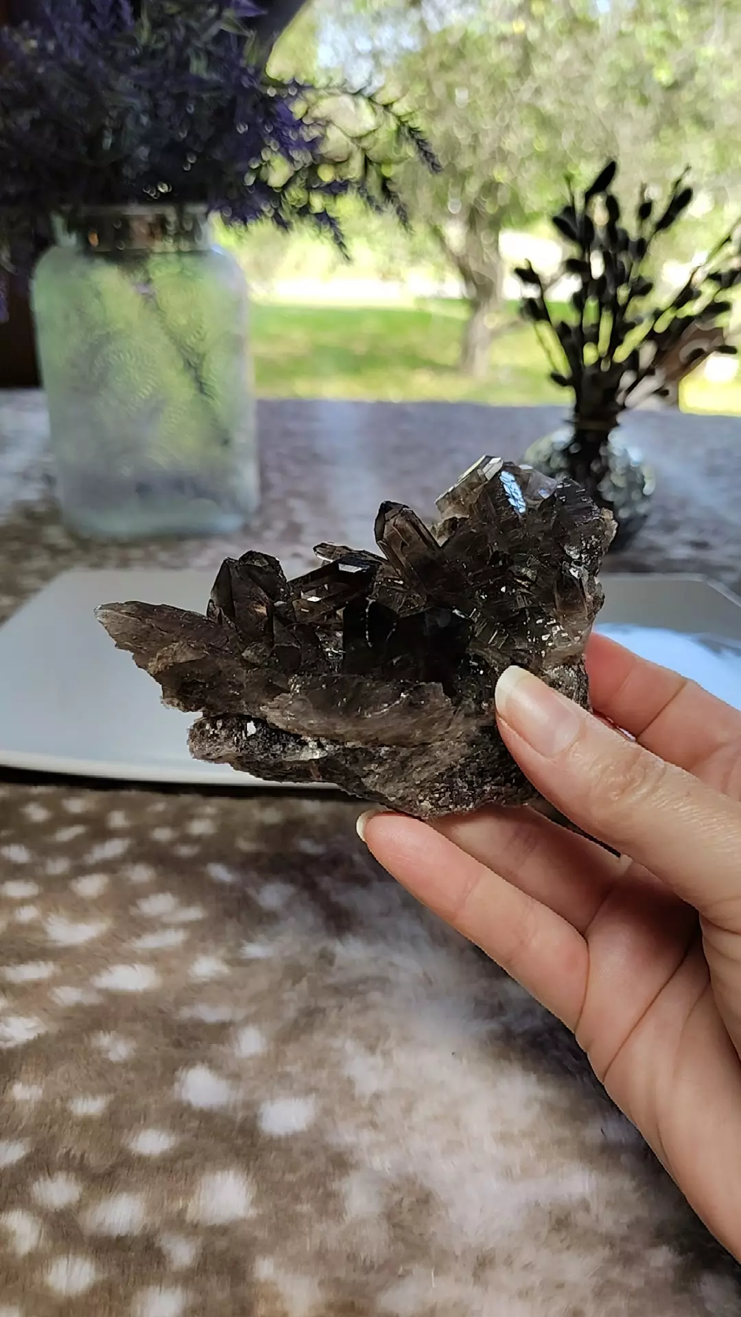 plant/Smokey Quartz cluster-0