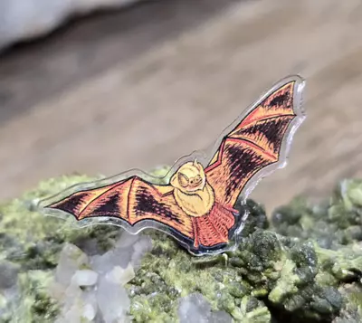 plant/Halloween Bat Acrylic Pin-1-thumbnail
