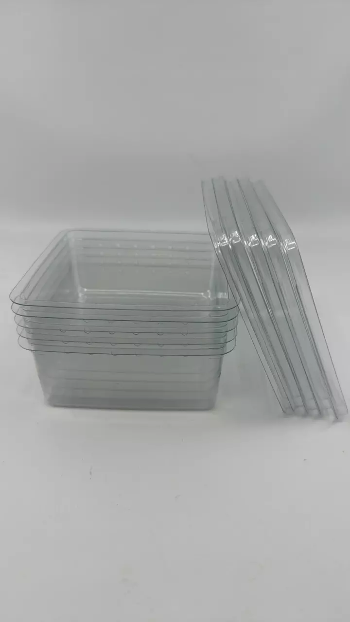 plant/50 pack of 12oz Square Deli + lids (shipped)-0