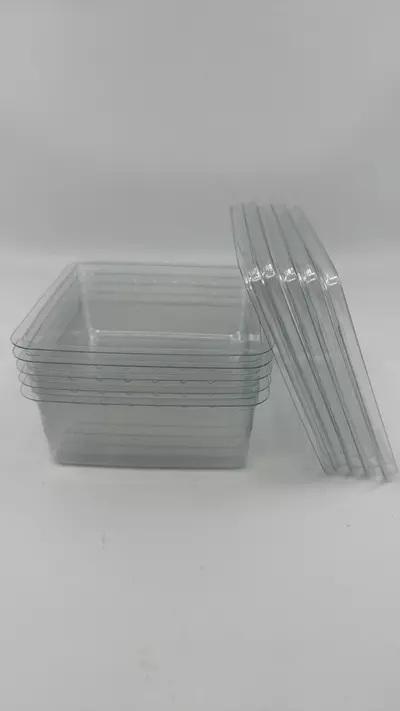 plant/50 pack of 12oz Square Deli + lids (shipped)-0-thumbnail