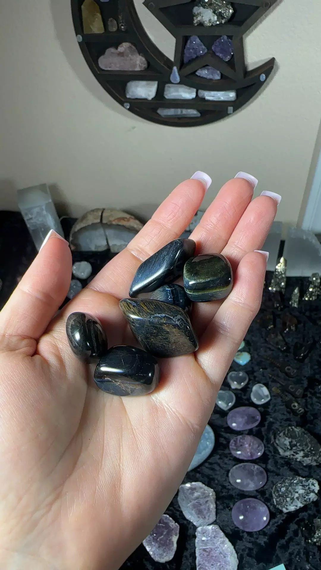 plant/Blue tigers eye tumble-0