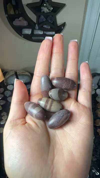 plant/Shiva lingam-0-thumbnail