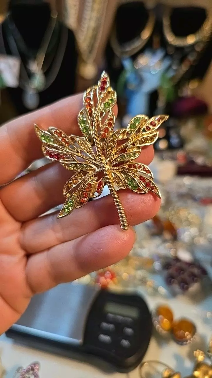 plant/Monet Brooche Pin-0