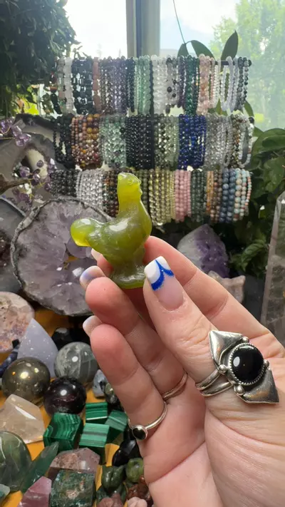 plant/Chicken- Jade-0-thumbnail