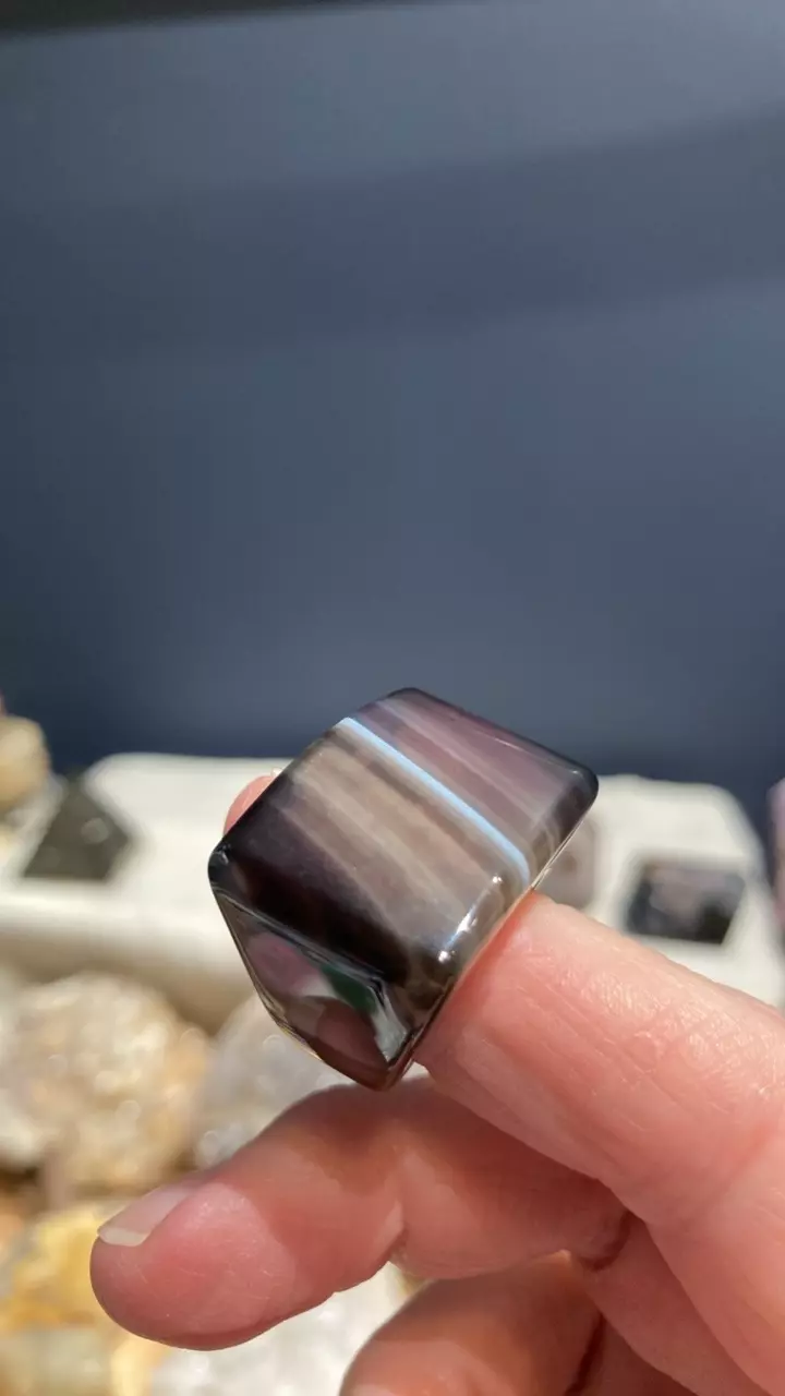 plant/Blk banded agate ring sz 6-0