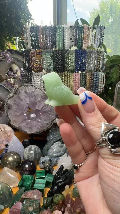 plant/Bird-0-thumbnail