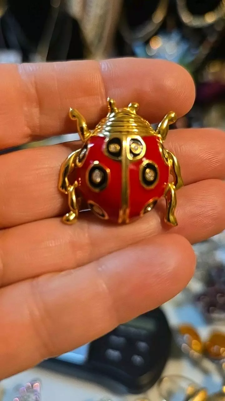 plant/Lady 🐞 Brooch pin-0