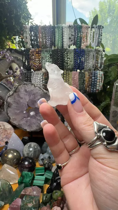 plant/Wolf- clear quartz-0-thumbnail