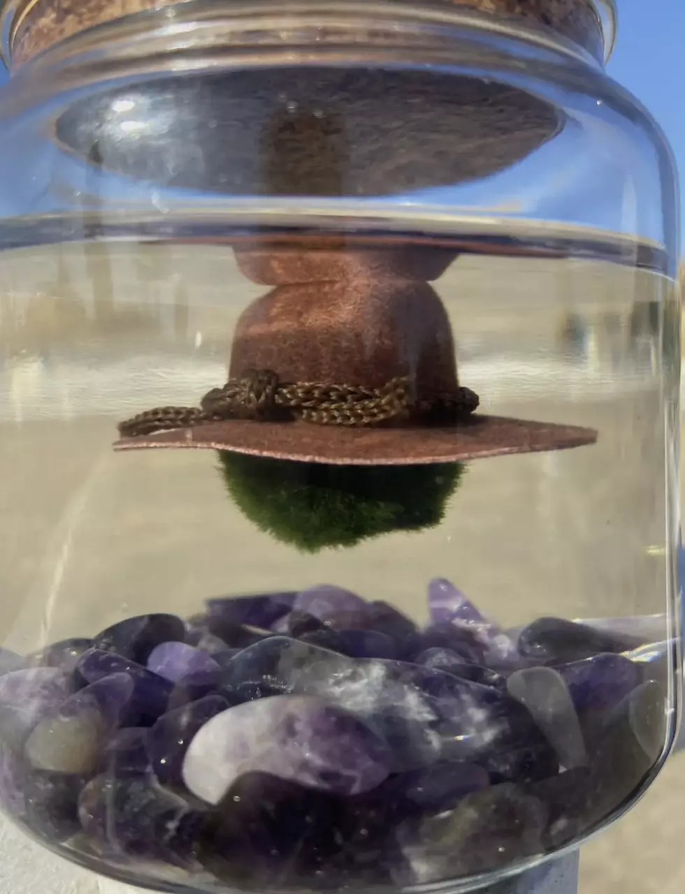 plant/PRE ORDER WHITE COWBOY HAT FOR MOSS BALL-0