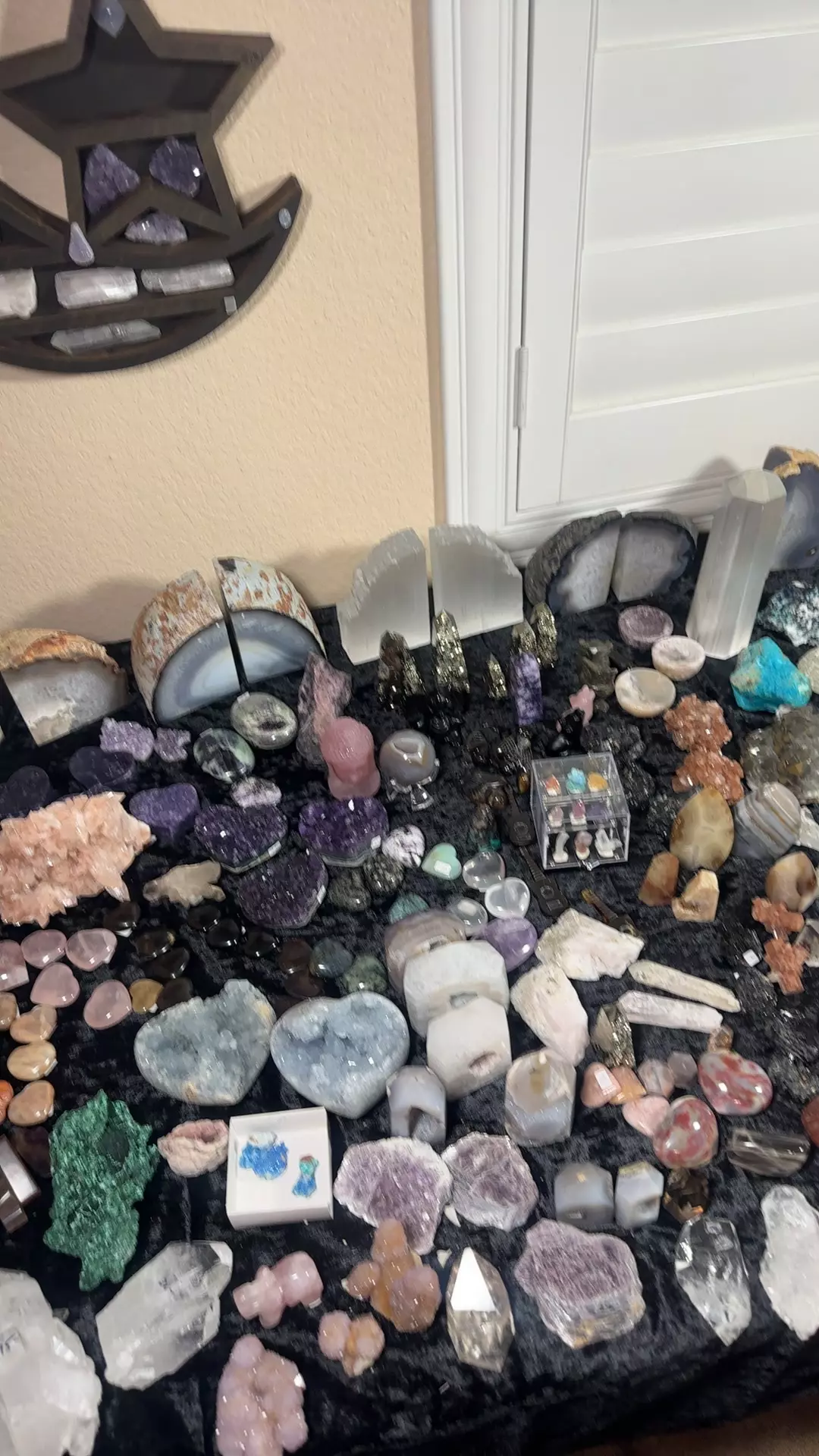 plant/ADD NOTE IN MY BOX THAT SAYS CONGRATS ON YOUR GIVEWAY WIN-0