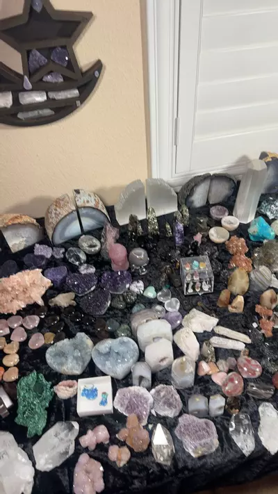 plant/ADD NOTE IN MY BOX THAT SAYS CONGRATS ON YOUR GIVEWAY WIN-0-thumbnail