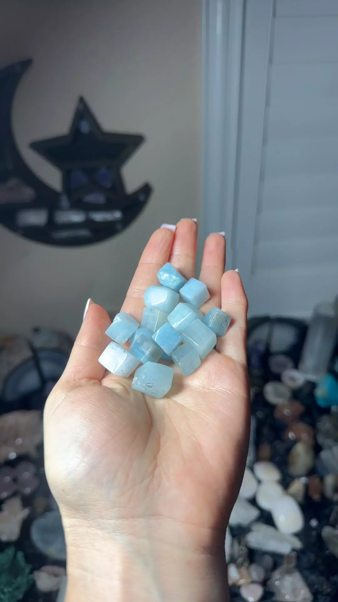 plant/Aquamarine cube-0