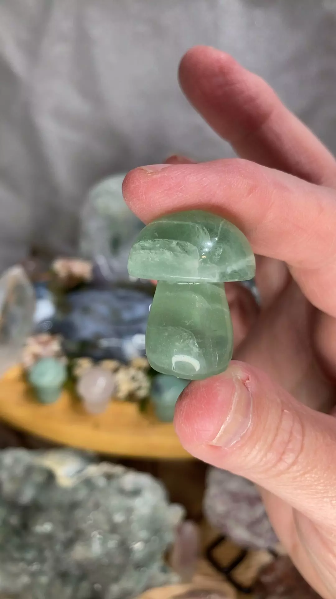 plant/One Fluorite mushroom - purple, green, clear options-0