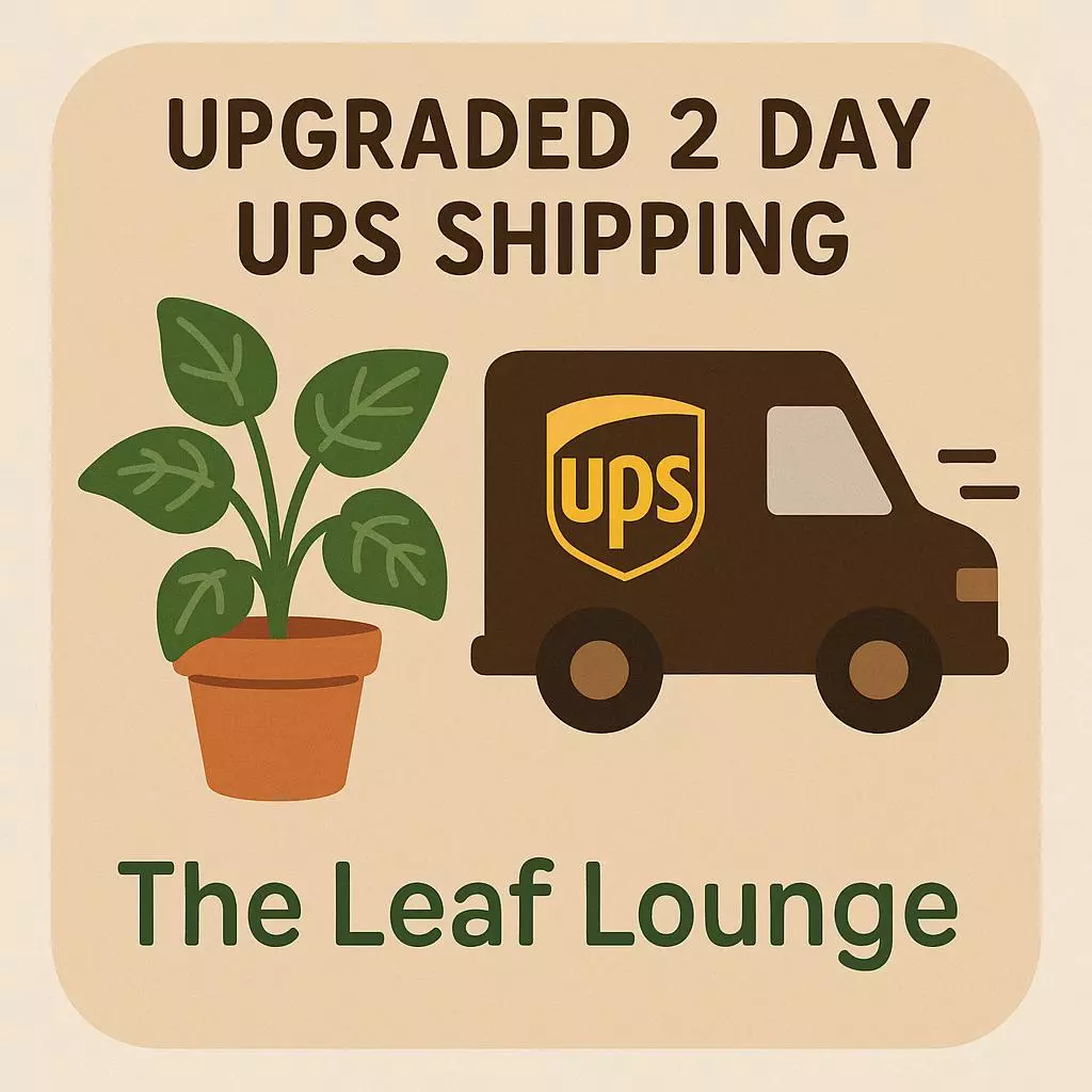 plant/2 Day Shipping Upgrade-0